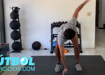 Ejercicios de Movilidad y Estiramientos de Espalda